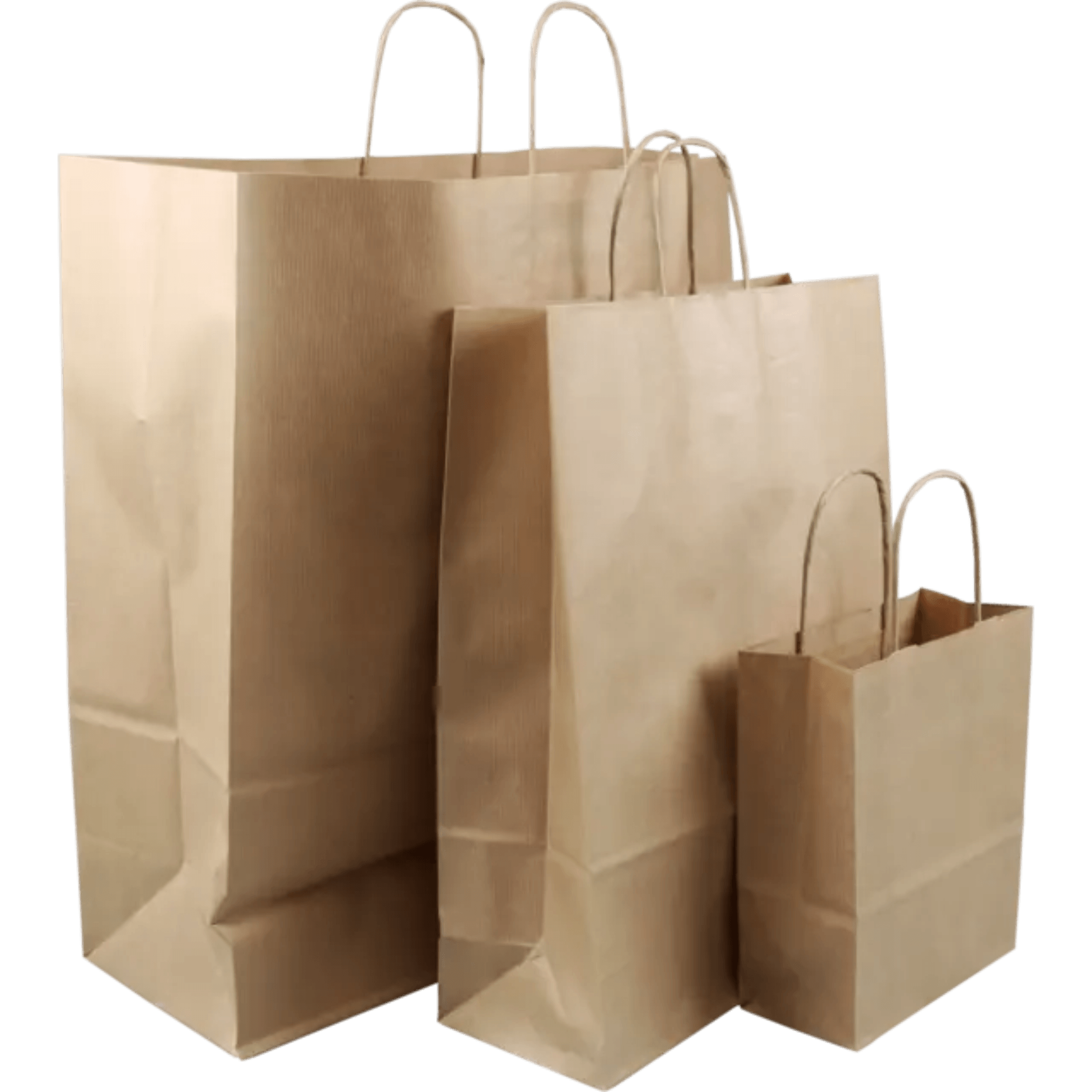 Craft Paper Bag